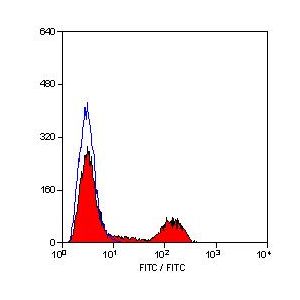Chicken peripheral blood