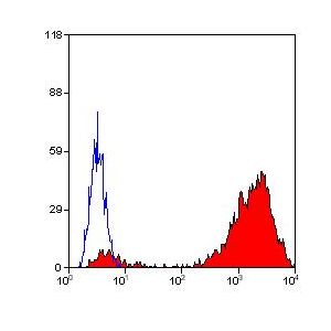 Human peripheral blood platelets