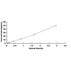 IL-1 alpha ELISA Standard Curve