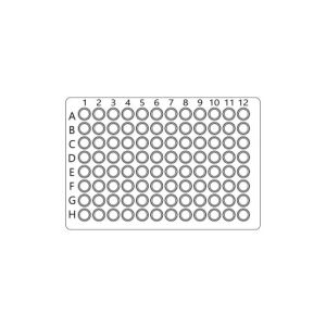 PYK2 Colorimetric Cell-Based ELISA Kit (OKAG01002)