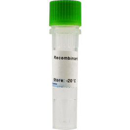 IL-4, Interleukin-4, murine (mouse)