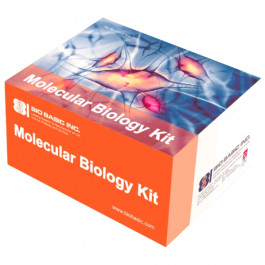 EZ-10 DNAaway RNA Miniprep Kit