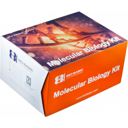 Rapid Viral RNA Extraction Kit