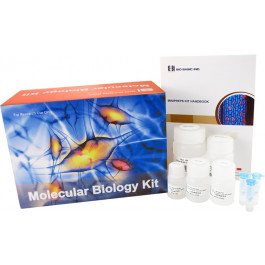 96 Well Plate Blood Genomic DNA Miniprep Kit