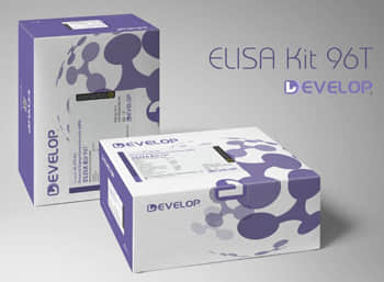 Rat Endocrine Gland Derived Vascular Endothelial Growth Factor (EG-VEGF) ELISA Kit
