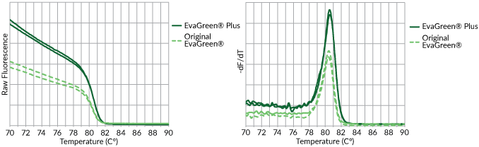 EvaGreen Plus Melt Curve Analysis