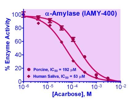 α-Amylase Inhibitor Screening Kit