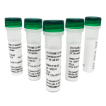 Lyophilized and purified Exosomes from MSC (adipose tissue) (5x100 vials)