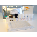 RNA Basic Kit (25 reactions)
