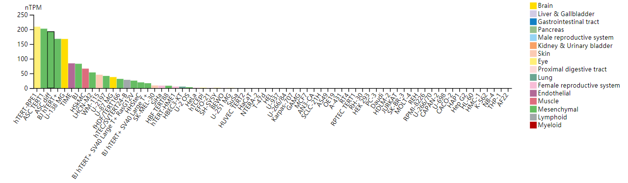 Figure 6 RNA cell line category: Cell line enhanced (ASC diff, ASC TERT1, BJ hTERT+, hTERT-RPE1, U-138 MG)