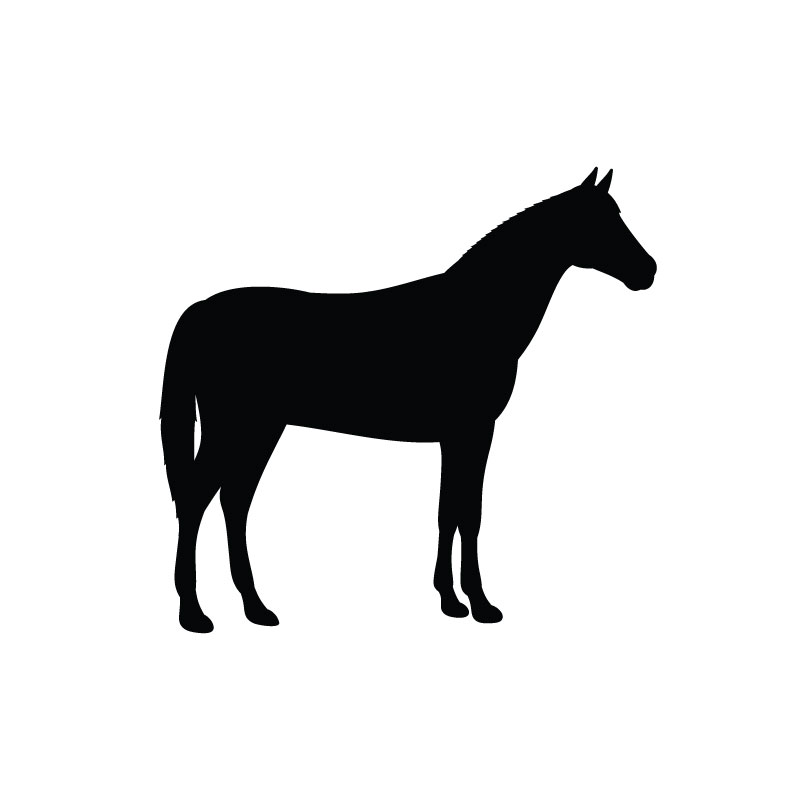 horse