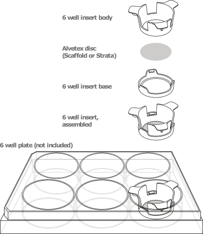 Polystyrene 6 Well Inserts For 3d Culture Alvetex Strata Biotrend