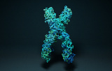 Nucleic acids extraction