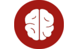 In-situ-Hybridisierungssonden - Gehirn und neuronale Pathologie