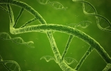 Other Green DNA stains