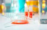 199 Medium for cell culture