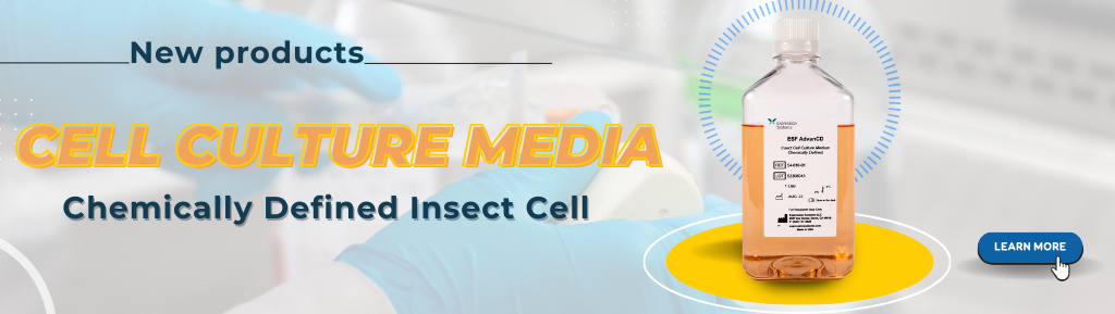 Cell culture media