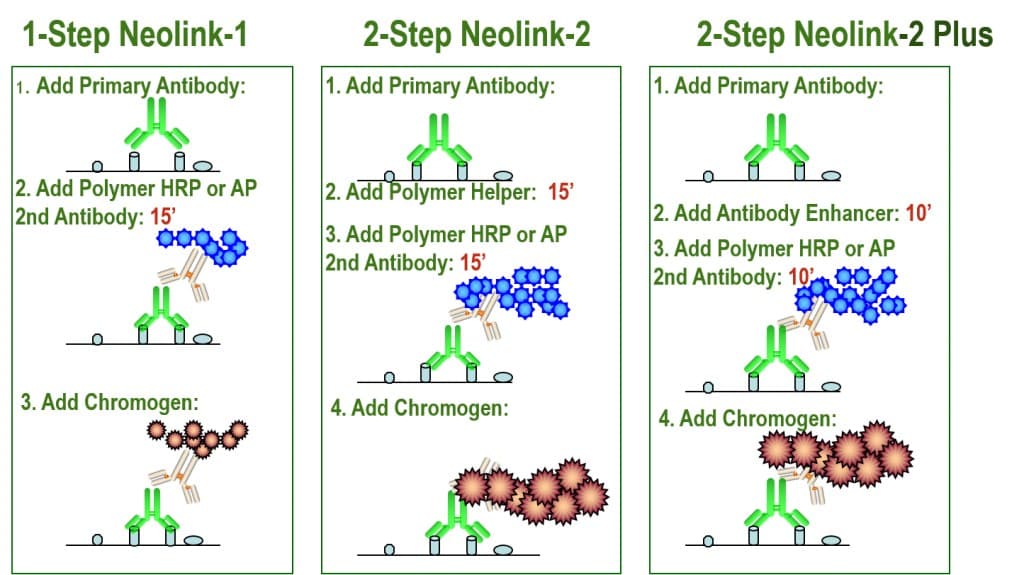 different detection kits