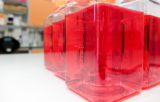 RPMI Medium for cell culture