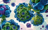 Cancer stem cells