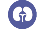 In-situ-Hybridisierungssonden - Pathologie des Urogenitalsystems