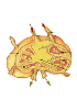 Lymphsystem 
