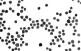 Nanopartikel