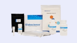 => 2024-06-30 : Save 30% on ALL Elabscience  products Now!