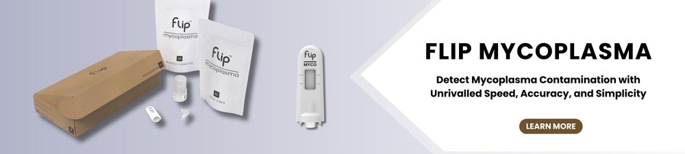 /upload/promotion-1-cendu3.jpg