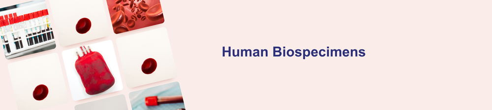 Lipid-Nanopartikel-Banner