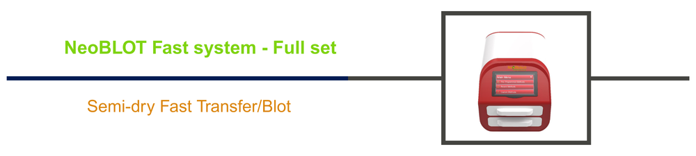 /upload/promotion-10-n3hhwm.png