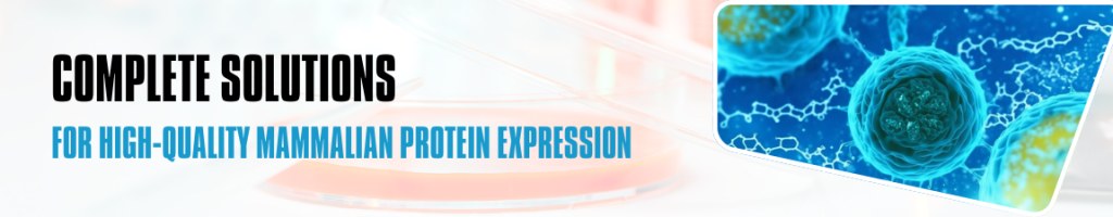 /upload/promotion-banner-to-all-10-3j7chh.jpg