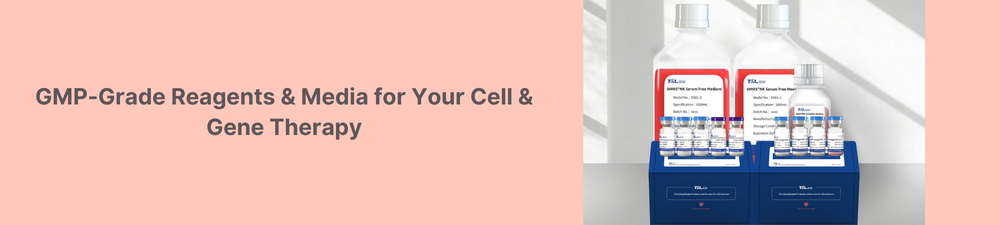 Lipid-Nanopartikel-Banner