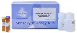 Protease assay kits