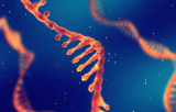 Sequencing of total RNA by NGS - Library preparation - Modules