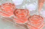 Plastic systems for 3D cell culture