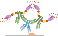 Immunhistochemie-Protokoll - Avidin/Biotin-Methode (ABC)