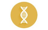 DNA polymerases for High-Fidelity PCR