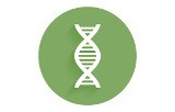 DNA polymerases for long fragment amplification (Long Range PCR)