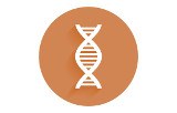 DNA polymerases for Fast PCR