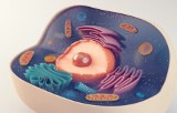 Cell Biology