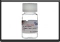 Type I collagen, rat tail