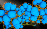 3D cell culture
