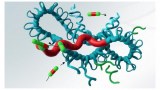 Albuminpeptide