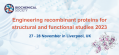 Engineering recombinant proteins for structural and functional studies 2023