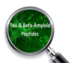 Tau & Beta Amyloid Peptides