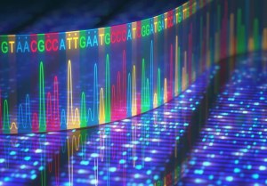 Präzise Diagnostik: Das Versprechen von NGS