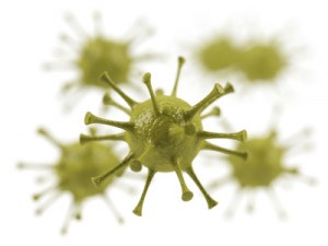 Virus particles