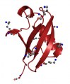 Custom Service : Chemical Protein Synthesis