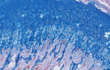 Histologische Spezialfärbungen